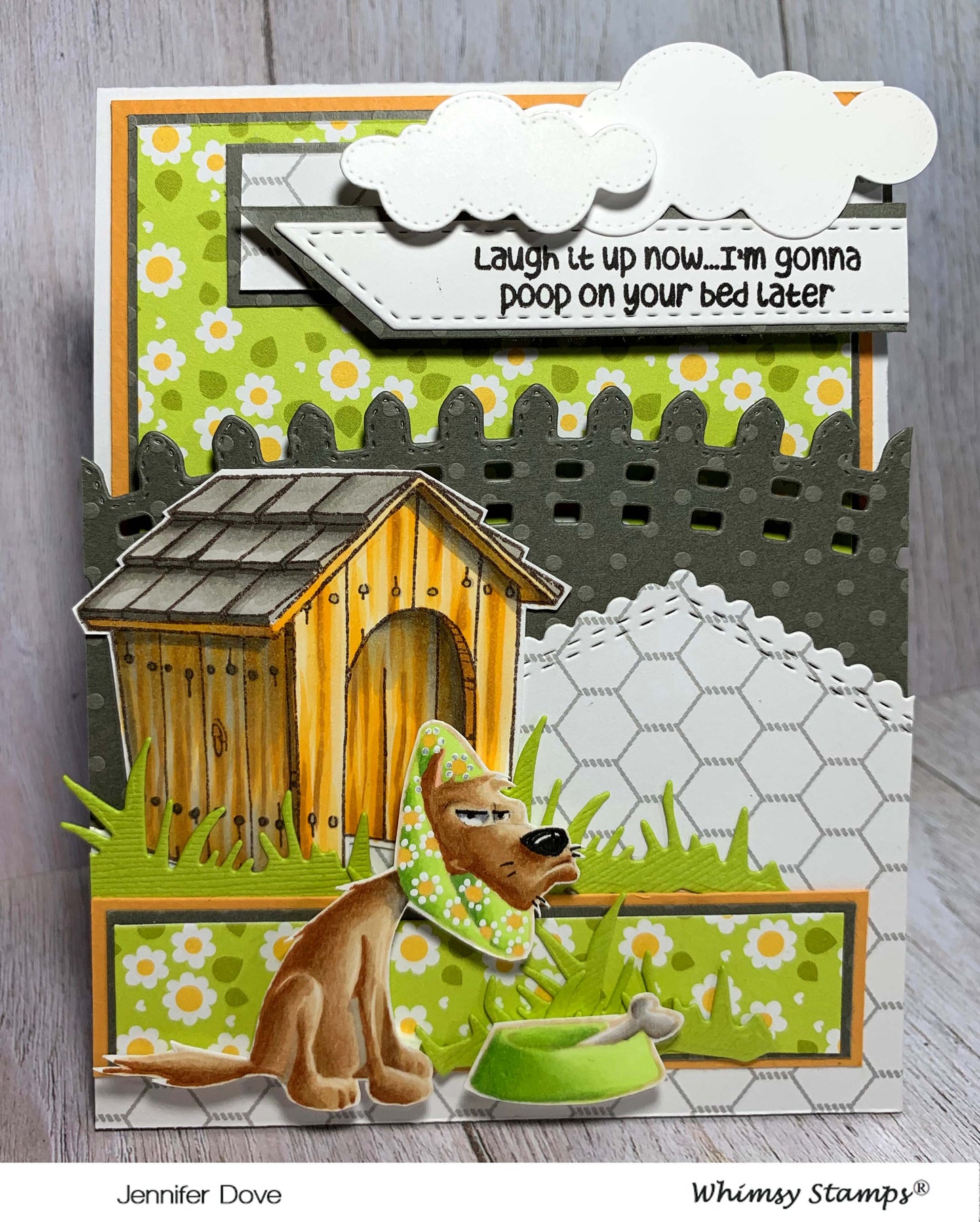 Cone of Shame Clear Stamps - Whimsy Stamps